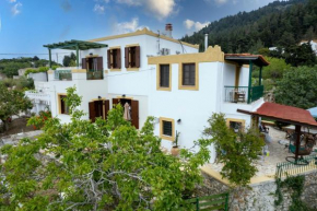 DIMIS ASOMATOS HOMES - Dodekanes Kos